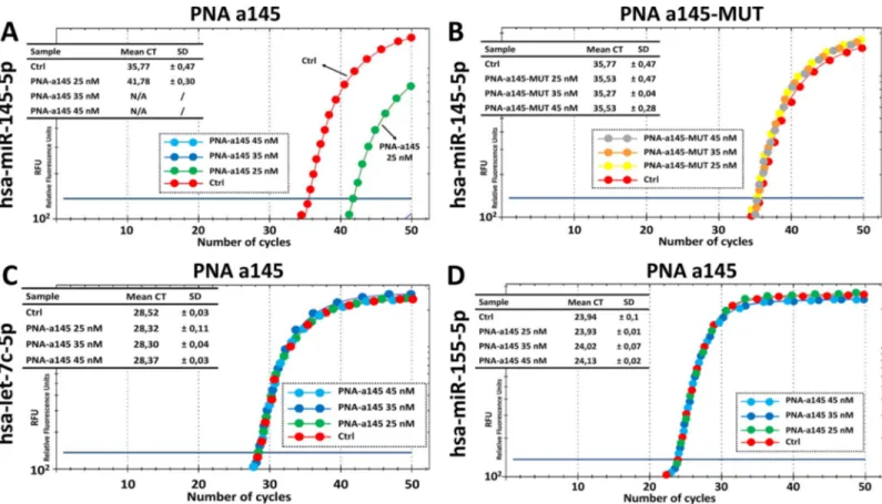 Fig 3 shows the outline of the experiments based on the use of PNA-a145. In Fig 3A the biolog- biolog-ical effects of the R8-PNA-a145 on Calu-3 cells (see also Figure E in S1 File ) are summarized