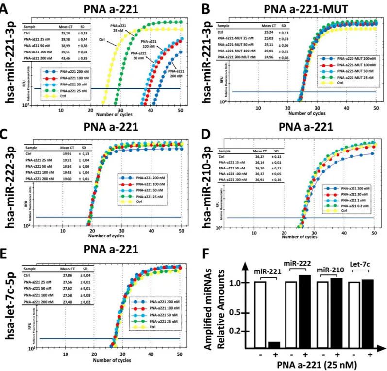 Fig 2. Effects of the PNA-a221 on the RT-PCR amplification of miRNA sequences. A,B. Effects of increasing amounts of PNA-a221 (A) and mutated PNA-