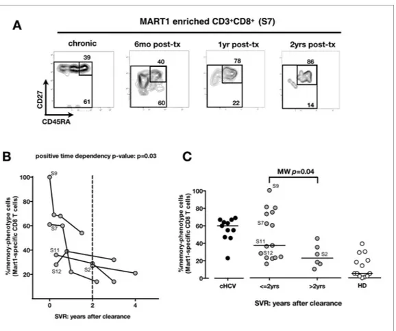Figure 4. Memory phenotype of Mart1-specific CD8 + T cells during chronic infection may be reversed by viral clearance