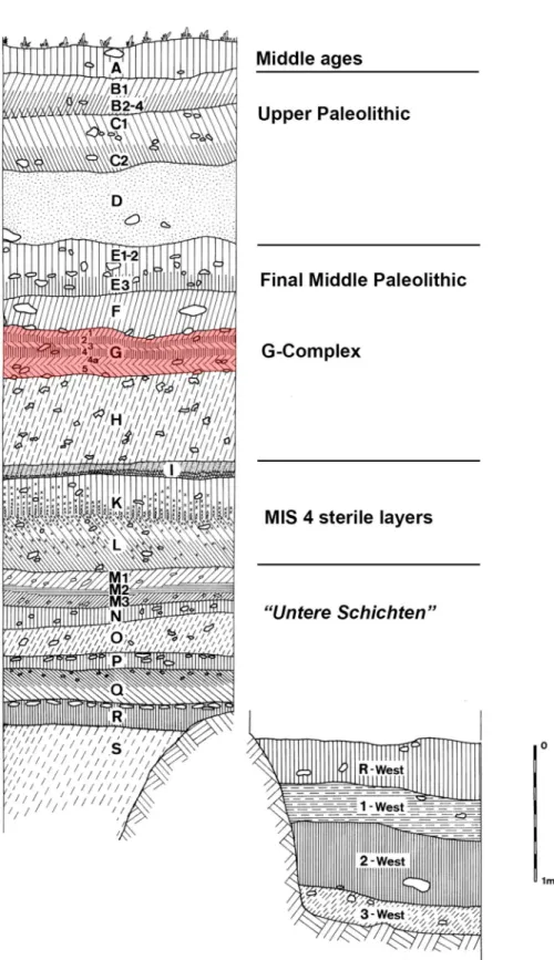 Fig 2. Stratigraphical sequence of Sesselfelsgrotte: G-Complex layers are highlighted
