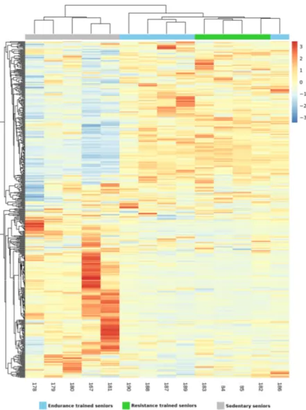 Figure 4. Heatmap generated by unsupervised hierarchical clustering analysis representing the expression data of lncRNAs in endurance trained (ET), resistance trained (RT) and sedentary (SED) seniors