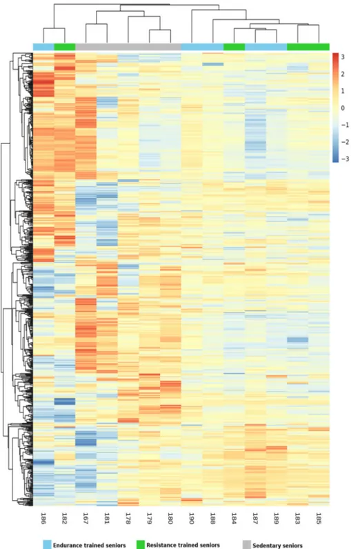 Figure 1. Heatmap generated by unsupervised hierarchical clustering analysis representing the expres- expres-sion data of miRNAs in endurance trained (ET), resistance trained (RT) and sedentary (SED) seniors