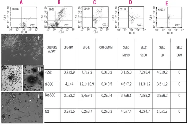 Figure 1. Whole fresh PB samples were analyzed by  a sequential gating strategy based on a 4-color cytometric protocol