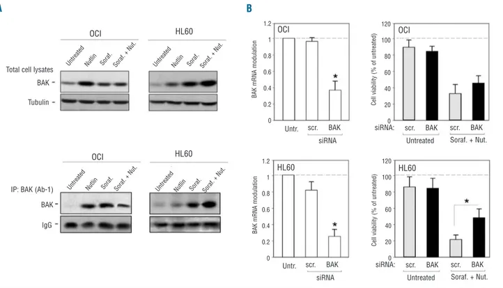 Figure  5.  Role  of  Bak  in  mediating  the  anti-leukemic  activity  of  sorafenib+nutlin-3  in  p53 deleted leukemic  cells