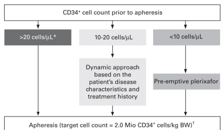 Figure 3. Position statement: proactive intervention to rescue mobilisation failure. *No proactive intervention required; † a target cell count of &gt;2.0 Mio CD34 + cells per kg body weight (BW) may be needed depending on the patient ’s disease and treatm