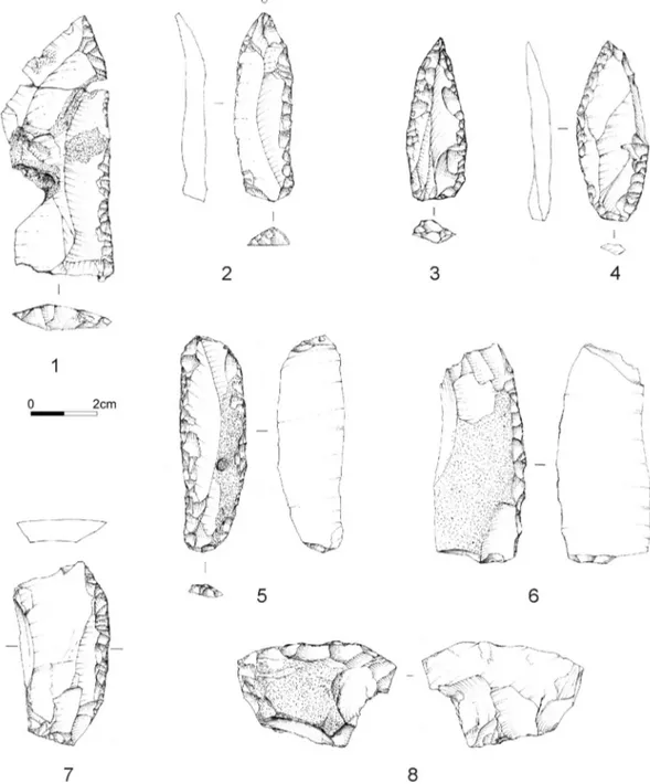 Fig. 2. Tools on Levallois blades and on ﬂakes from layers A5 (2, 3), A5+A6 (1, 5), A6 (4, 6–8): side-scrapers (1, 7), side-scapers on bi-truncated cortical blade (5, 6), points (2–4); transverse scraper on thinned cortical ﬂake (8).