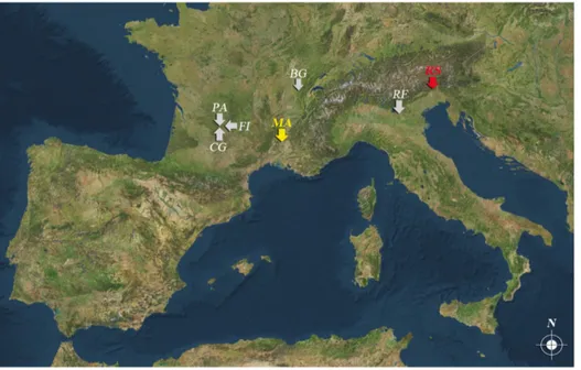 Figure 1. Position of the Middle Palaeolithic sites with cut-marked raptor phalanges in Europe