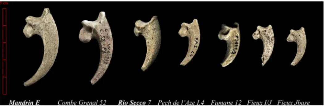 Figure 6. Cut-marked claws from the European Middle Palaeolithic. Presentation of the cut-marked eagle bones found in the Mousterian sites cited in the text and ordered according to the size.