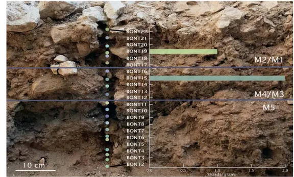 Figure 5. Shard concentrations at Riparo Bombrini. Samples BONT15 to BONT19  are attributed to population three and are present in stratigraphic units M1-M4