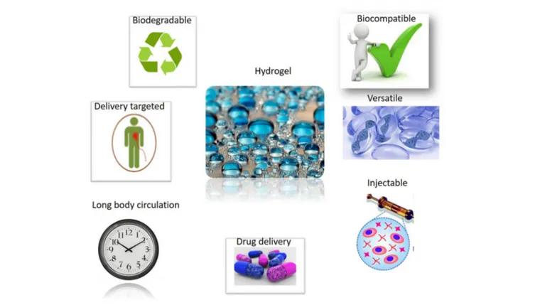 FIGURE 3 | Successful applications of Hydrogel materials will benefit from their attractive properties