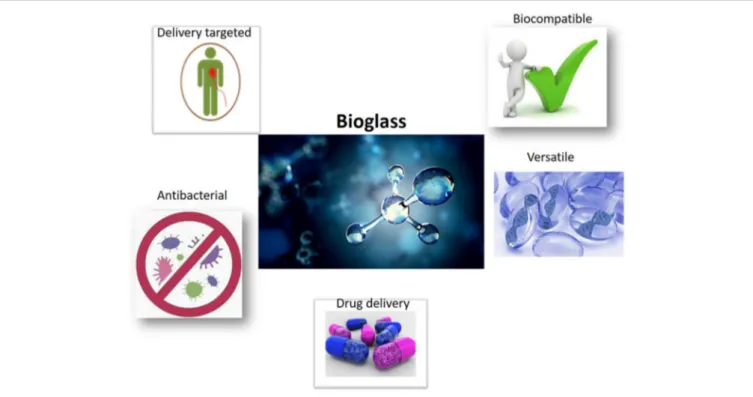 FIGURE 2 | Properties of bioactive glasses BGs as scaffolds employing in regenerative medicine
