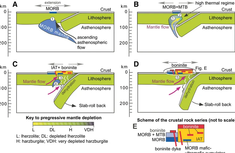 Figure 11. Two-dimensional tectonic diagrams, depicting the magmatic-petrogenetic evolution of the Jurassic ophiolites in the Albanide-Hellenide  mountain belt during the subduction initiation and subduction rollback stages of a Tethyan marginal sea