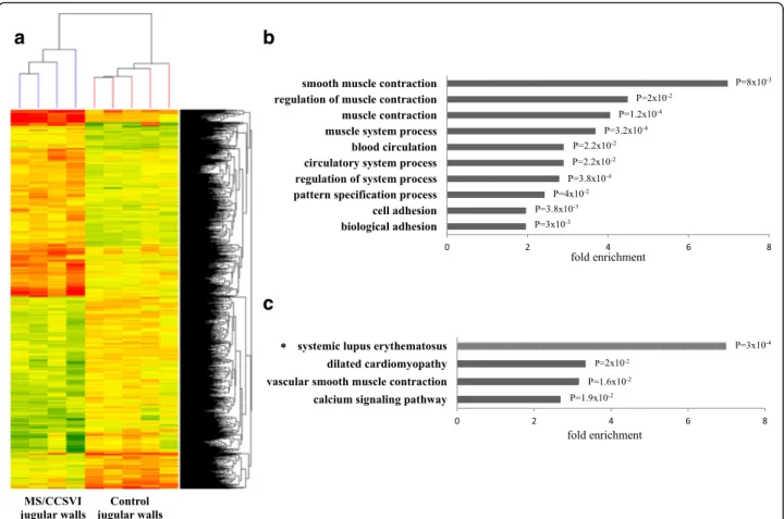 Fig. 1 Transcriptomic analysis in internal jugular vein walls. a Heat map representation of the 924 differentially expressed genes (1408 probes)