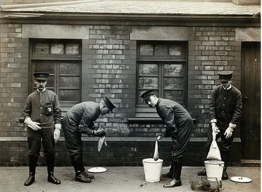 Figure 3. ‘Liverpool Port Sanitary Authority rat-catchers dipping rats in buckets of petrol to kill fleas for plague control