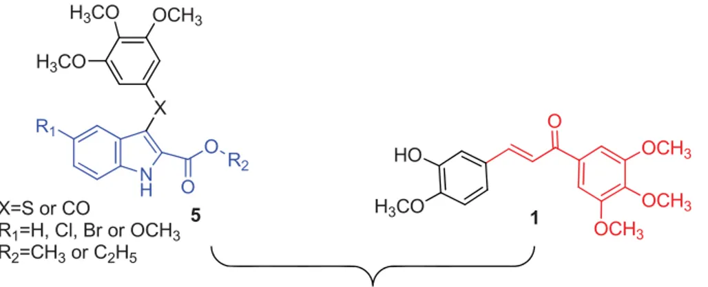 Figure 2. Bioisosteric replacement of the sulphur or carbonyl group (X) of compound 5 with the 2-propen-1-one system (drawn in red) of chalcone 1 furnished a new class of indole-based chalcone conjugates of type A.