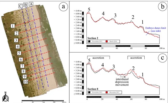 Figure 13. (a) Location of the cross and longitudinal sections; (b) Detection of the morphological evolution of dunes during first winter season by the comparison of the profiles of November 2015 (black) and March 2016 (red) on cross-section 2; (c) Detecti
