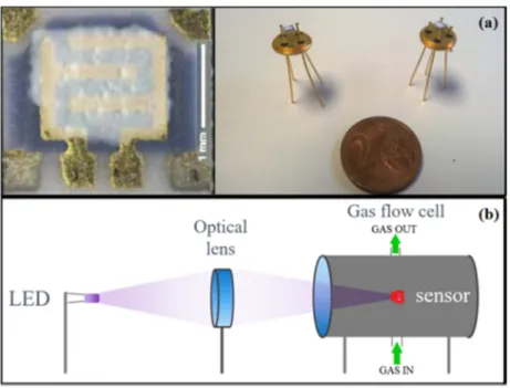 Figure 1. (a) Image of the gas sensor device and (b) the schematic representation of the gas sensing 