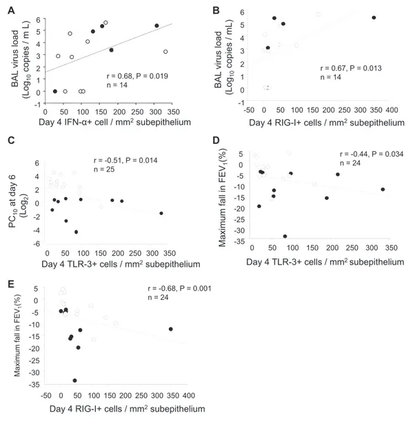 FIG 5. Subepithelial IFN-a and PRR responses at day 4 after infection are associated with greater viral load and AHR and reductions in lung function during infection