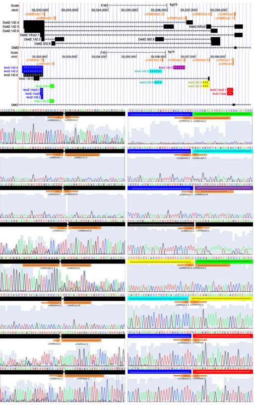 Figure S2: Characterization of deletion and Inversion Breakpoints.  