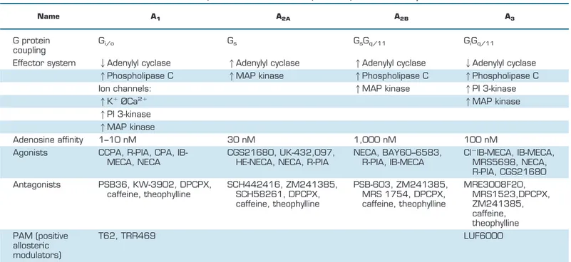 Table 4. Classification and mechanism of action of adenosine receptors