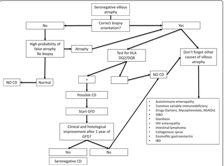 Fig. 6 Diagnostic algorithm for seronegative villous atrophy. SIBO small intestinal bacterial overgrowth