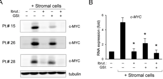 Figure 4: Down-regulation of c-MYC pathway by ibrutinib±GSI in primary B-CLL cell cultures