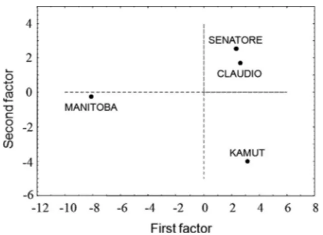 Fig. 3. CXCL10 secretion by cultured PBMC stimulated with different wheat protein extracts