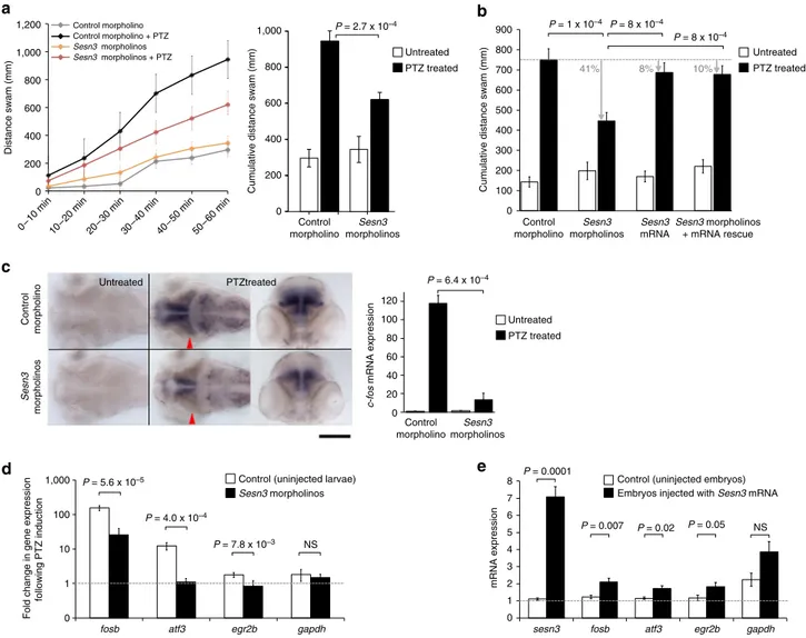 Figure 5 | Sesn3 modulates PTZ-induced c-fos expression, locomotor convulsions and Module-1 genes in zebraﬁsh