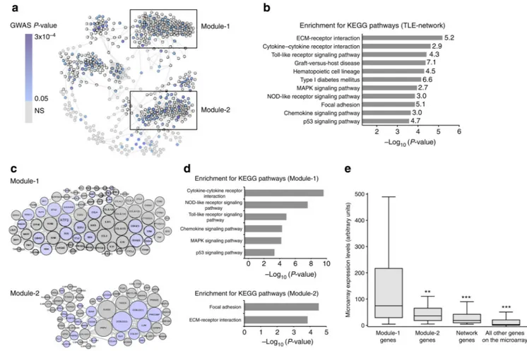 Figure 1. Identification of the TLE-network and functionally specialized transcriptional modules  in human epileptic hippocampus