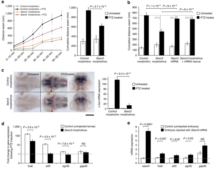 Figure 5. Sesn3 modulates PTZ-induced c-fos expression, locomotor convulsions and Module-1  genes in zebrafish