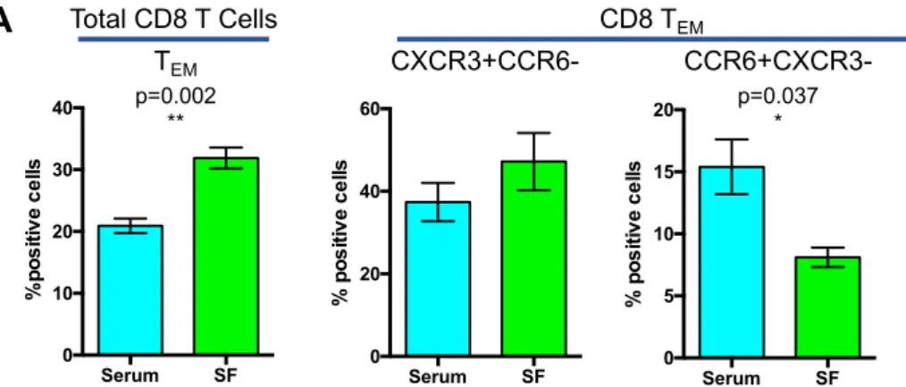 Figure 4.  Migration of CD8 +  effector/effector memory T cells towards synovial fluid