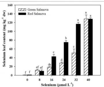 FIGURE 1 | Effects of genotype and selenium concentration in the nutrient  solution on selenium biofortification of green and red Salanova lettuce grown  hydroponically in a Fitotron open-gas-exchange growth chamber under six  Se concentrations applied in 