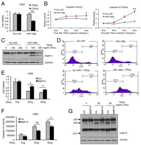 Fig. 3. Hypermethylation of miR-148a is involved in resistance to TRAIL- TRAIL-induced apoptosis