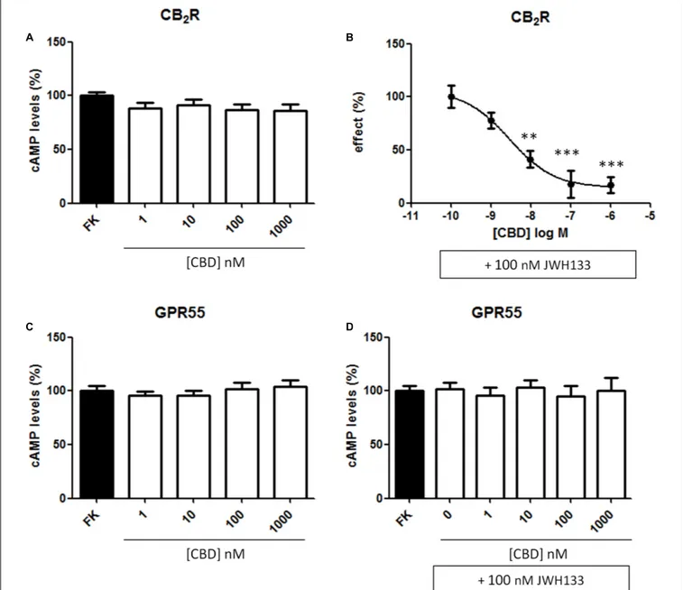 FIGURE 4 | Dose-response effect of CBD on cAMP levels. HEK-293T cells were transiently transfected with cDNA encoding for human CB 2 (A,B) or GPR55 (C,D)