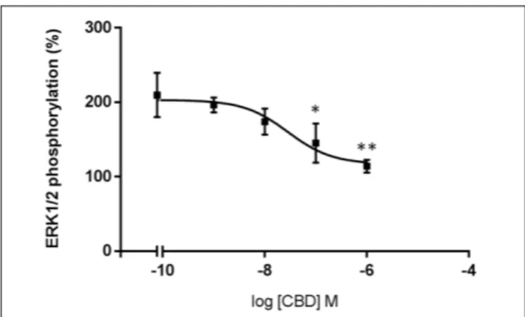 FIGURE 5 | Dose-response effect of CBD on ERK1/2 phosphorylation. HEK-293T cells transfected with human CB 2 R were stimulated with 100 nM