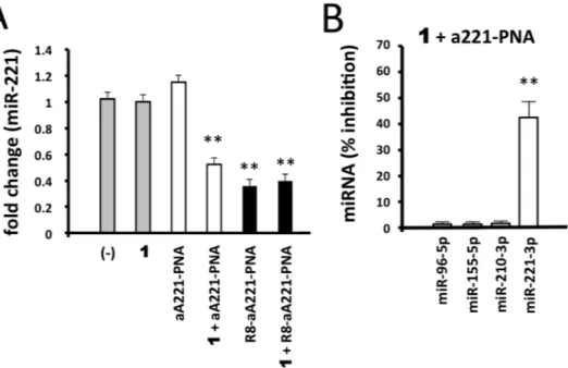 Figure 5.  Effects of 1/a221PNA formulation on miR-221. Glioma U251 cells were treated with 1, a221PNA,  1/a221PNA formulation, R8-a221PNA, 1/R8-a221PNA formulation