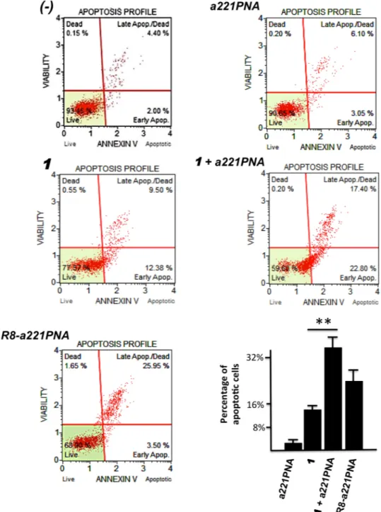Figure 6.  Effects of 1/a221PNA formulation on U251 apoptosis. U251 cells were cultured with 1, a221PNA,  1/a221PNA formulation, R8-a221PNA and 1/R8-a221PNA formulation