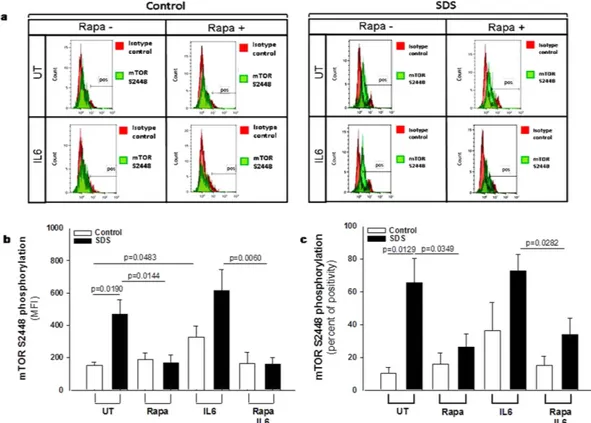 Figure 2.  Flow cytometric analysis of mTOR S2448 phosphorylation in LCLs. (a) Representative experiment  indicating mTOR S2448 phosphorylation level (green histogram) in healthy donor derived LCLs (Control)  versus SDS LCLs (SDS)