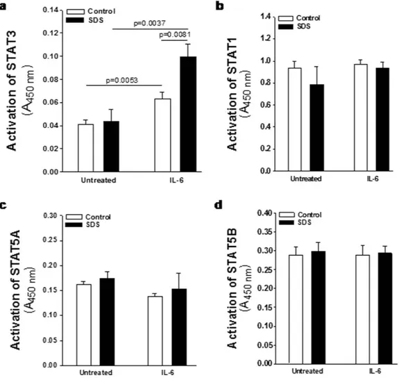 Figure 4.  IL-6-dependent nuclear translocation of STAT3 in LCLs. Cells have been challenged with IL-6  (10 ng/ml) for 15 min