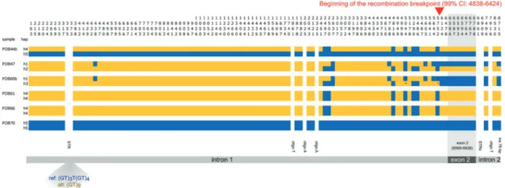 Fig. 4 MinION sequencing error rate estimation using three mapping algorithms. The error rate for single nucleotide variants (SNV, average error: 4.8%), insertions (INS, average error: 4.1%), and deletions (DEL, average error: 3.0%) was estimated as a func