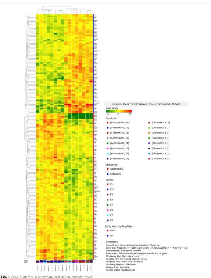 Fig. 1 Gene clustering in abdominal and gluteal adipose tissue