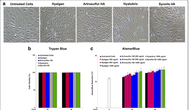 Fig. 1 Effects of Hyalgan®, Artrosulfur HA®, Hyalubrix® and Synolis-VA® on morphologic change cell viability and cell metabolic activity