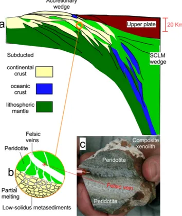 Figure 4. (a) Cartoon showing a cross-sectional sketch of crustal recycling during continental collision, after 