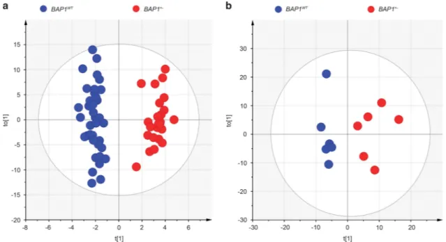 Figure 1 OPLS-DA analysis of metabolite profiles showed a global metabolic difference between BAP1 WT and BAP1 +/ − individuals