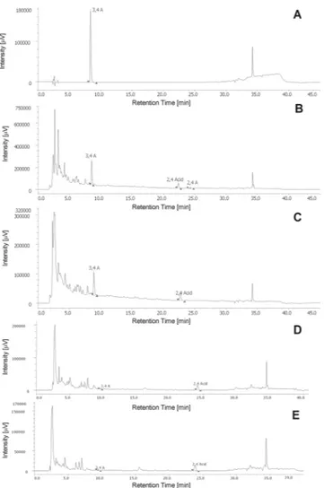 Figure 7.  Chromatograms of (A) adducts between the aldehydes after 24 h of permanence in HBSS + 25 mM 