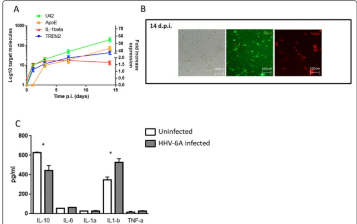 Fig. 3 a mRNA apoE, IL-1beta, and TREM2 expression was evaluated in microglial cells at 1, 3, 7, and 14 d.p.i