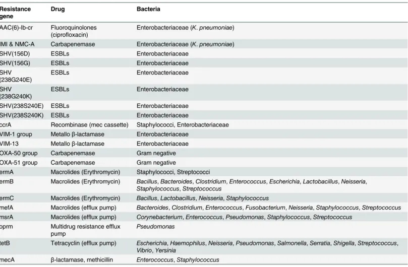 Table 1. Resistance genes detected in the microbiota of hospital surfaces. Resistance gene Drug Bacteria AAC(6)-Ib-cr Fluoroquinolones (cipro ﬂoxacin) Enterobacteriaceae (K
