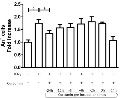 Figure 3. The effect of curcumin pre-treatment on HT29 apoptosis. The HT29 cell line was pre- pre-incubated with curcumin at different time intervals and then stimulated with IFNγ for an additional  48 h