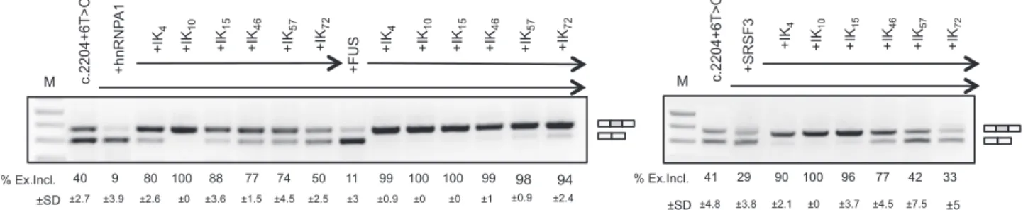 Figure 2. ExSpeU1s counteract the effect of inhibitory splicing factors. ELP1 mutant minigene was co-transfected with different ExSpeU1s (Ik4–72) along with plasmids coding for the indicated inhibitory splicing factors in Hek293T cells: hnRNP A1, FUS and S