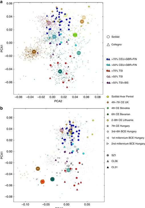 Fig. 2 Principal component analysis of Szólád and Collegno. a Procrustes PCA of modern Europeans (faded small dots are individuals, larger circle is median of individuals) along with samples from Szólád ( ﬁlled circles), Collegno (ﬁlled triangles) and othe